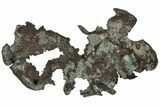Natural, Native Copper Formation - Peru #184681-1